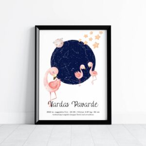 Metrikai-žvaigždėlapis "Flamingai"