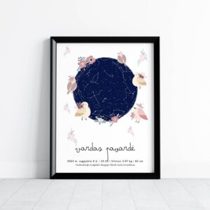 Metrikai-žvaigždėlapis "Paukštukai"