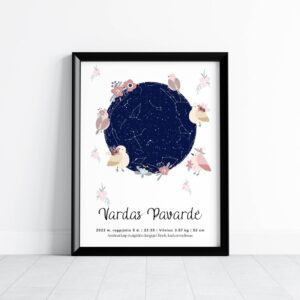 Metrikai-žvaigždėlapis "Paukštukai"